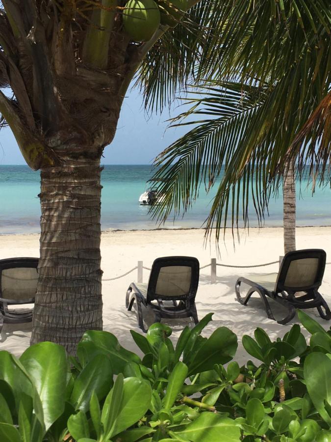Amara Cancun Beachfront Condo المظهر الخارجي الصورة